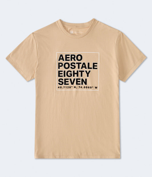 AEROPOSTALE TEE - HAUTE TRENDZ Y1597F - LARGE